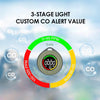 Carbon Monoxide Detector